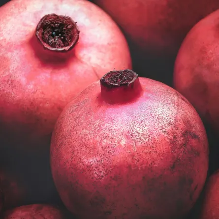 تفسير حُلم الرمان في المنام