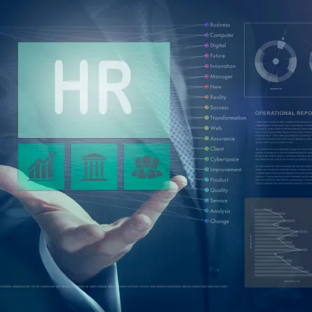 إدارة الموارد البشرية الخضراء - الصورة من Adobestock