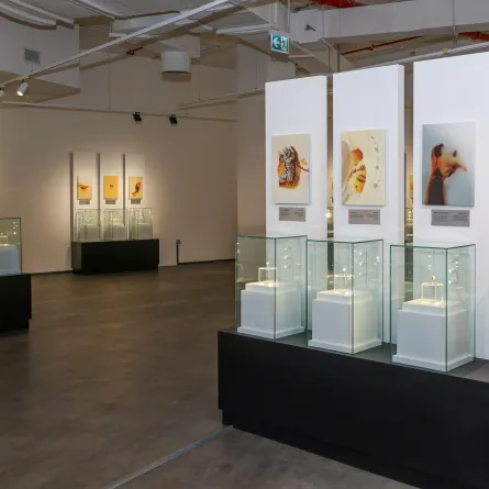 افتتاح معرض الإبداع الإلهي. الصورة من الحساب الرسمي لكتارا على منصة x