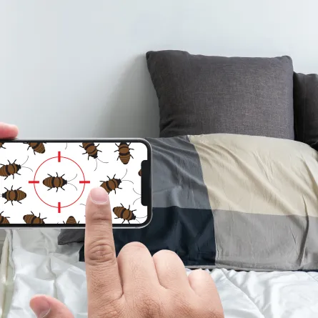 التخلص من حشرات الفراش