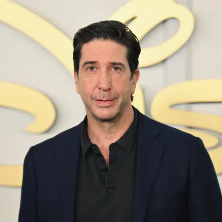 ديفيد شويمر في عرض ديزني بمدينة نيويورك (  David Schwimmer at the Disney Show in New York City). مصدر الصورة: Photo by ANGELA WEISS / AFP