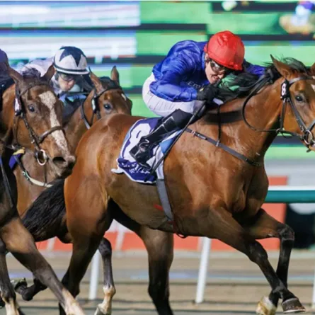 فاشون فرايداي الصورة من وام