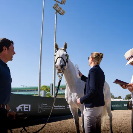 بطولة أبوظبي الدولية لقفز الحواجز  الصورة من وام