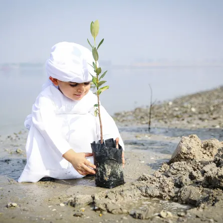 إطلاق مشروع نزرع للاستدامة. الصورة من wam