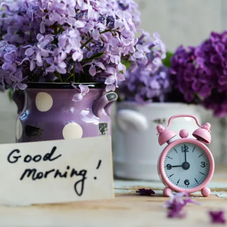 عبارات صباحية إيجابية!