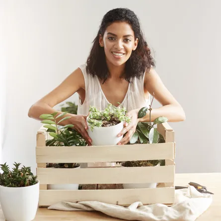 عشبة القطف لتحسين المناعة ومحاربة الأنيميا Image By Ftreepik