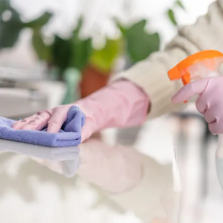 العناية بالأسطح المنزلية