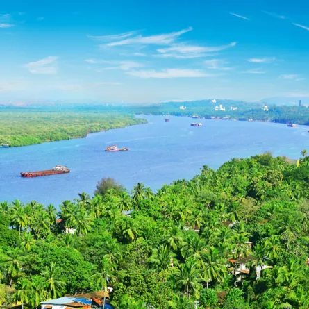 لقطة لنهر ماندوفي في جوا