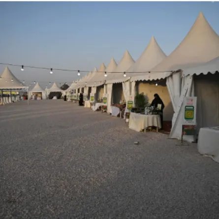 مهرجان شرورة الشتوي الصورة من وكالة واس