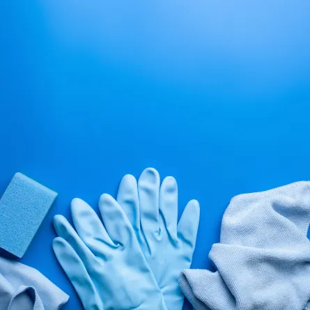 أدوات التنظيف، مع زوجين من الكفوف