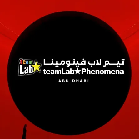  افتتاح تيم لاب فينومينا أبوظبي