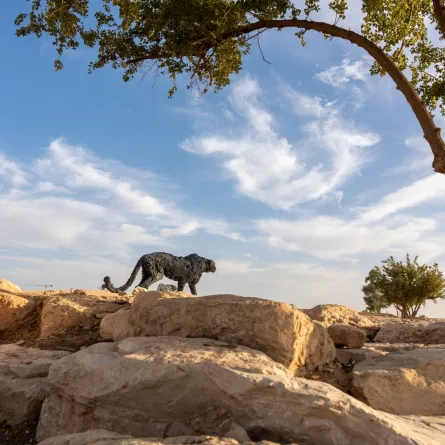 الرياض آرت بالتعاون مع السفارة الإيطالية يعلن عن اكتمال توزيع منحوتات   الفنان العالمي دافيدي ريفالتا في الرياض 