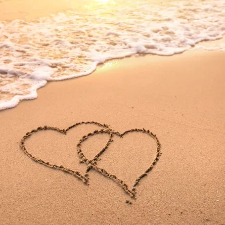 الابراج في يوم الحب 