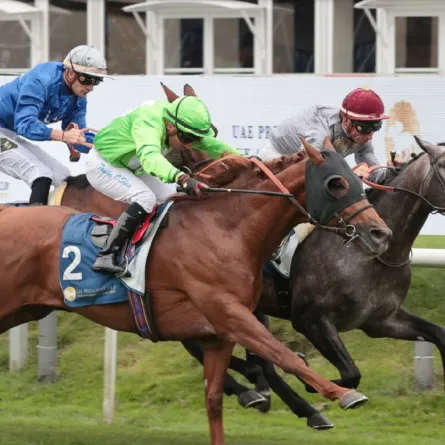 النسخة الـ 32 من كأس رئيس الدولة للخيول العربية الأصيلة تعلن أجندة سباقاتها العالمية - الصورة من مكتب أبوظبي الإعلامي 