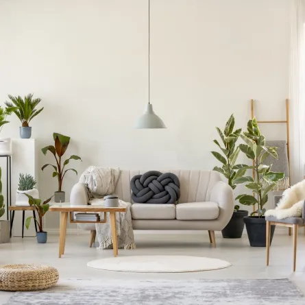 غرفة معيشة توحي بقدوم الربيع من خلال النباتات