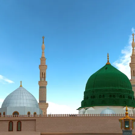 المدينة المنورة