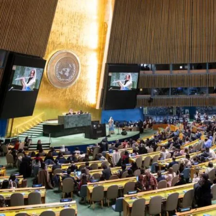 UN Photo/Manuel Elías