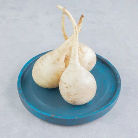 الفجل الأبيض غني بالمغذيات الأساسية - المصدر freepk