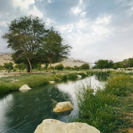 جانب من وادي حنيفة