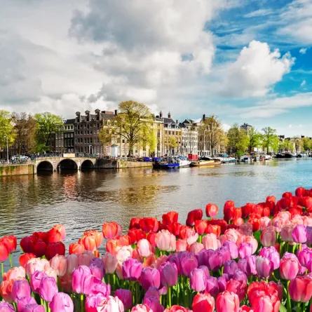 الربيع في أمستردام