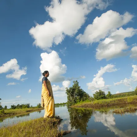 منظر طبيعي لأراضي آسام 