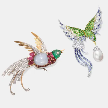 يروشات من وحي الطيور والحشرات