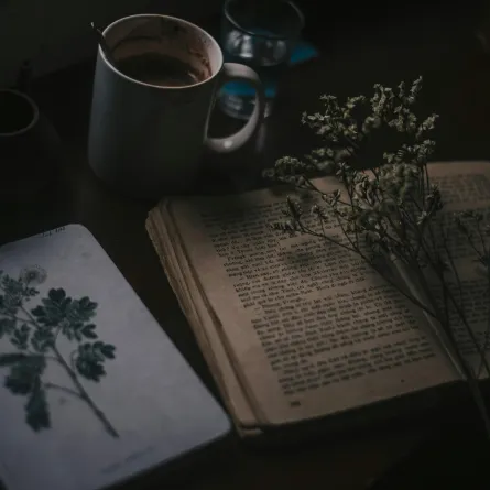 اليوم العالمي للشعر 2025.. الأدب والنشر تحتفي بالشعر - الصورة تعبيرية من pexels by sheep