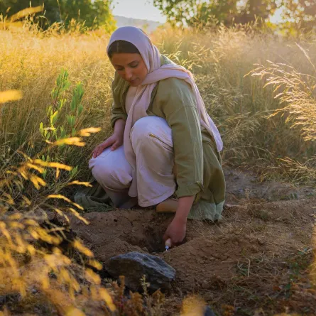 الاحتفاء بيوم مبادرة السعودية الخضراء 27 مارس - الصورة من موقع مبادرة السعودية الخضراء 