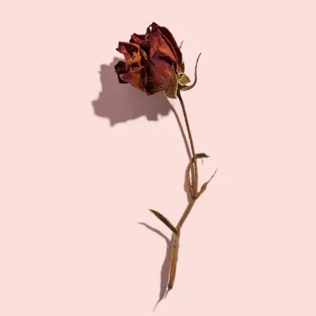 تفسير حلم موت الأم - صورة تعبيرية