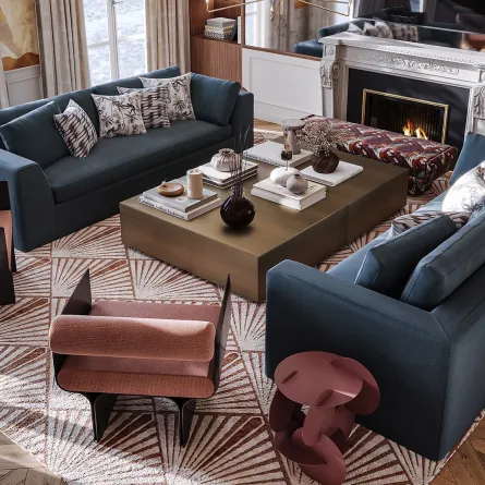 منطقة المعيشة في الشقة الباريسية