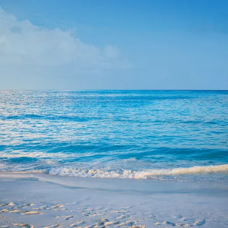 تفسير حلم البحر الأزرق الصافي