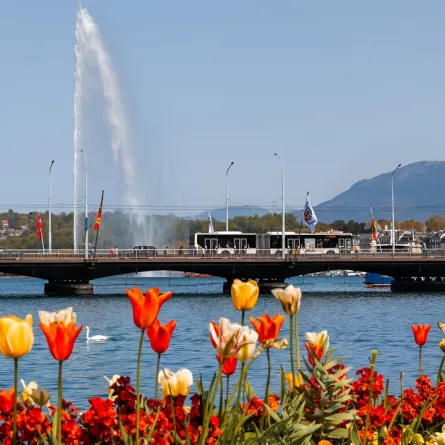 جانب من سويسرا في الربيع