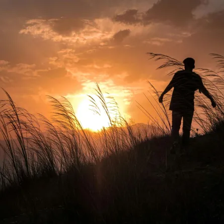 شاب يمشي في هدوء يحتضن صمت الطبيعة