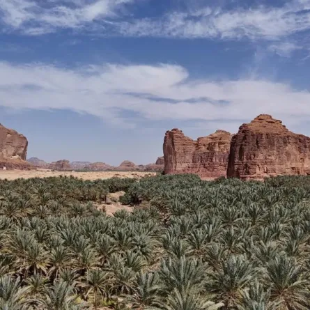 يأتي انضمام العلا إلى مؤشر المدن الذكية لأول مرة هذا العام، نتيجة للخطط الطموحة التي تنفذها السعودية لتطوير المدينة بوصفها وجهة تراثية وثقافية وسياحية ذكية