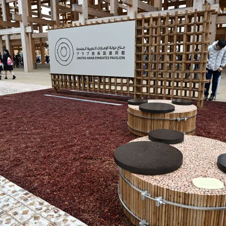 جناح الإمارات في إكسبو 2025 أوساكا. الصورة من wam
