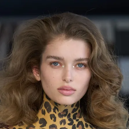 تطبيق البرايمر