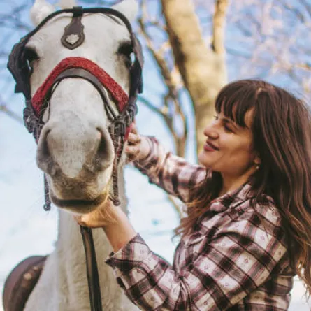 تفسير حلم رؤيا الحصان في المنام للعزباء