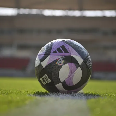 ترتيب هدافي دوري روشن السعودي - الصورة من حساب دوري روشن السعودي على إكس