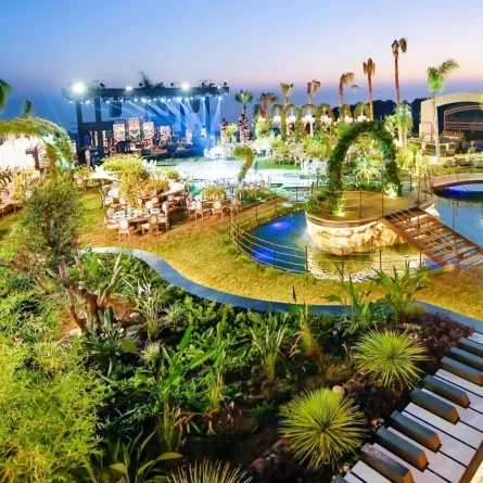 ديكور حفل الزفاف النهاري مميز