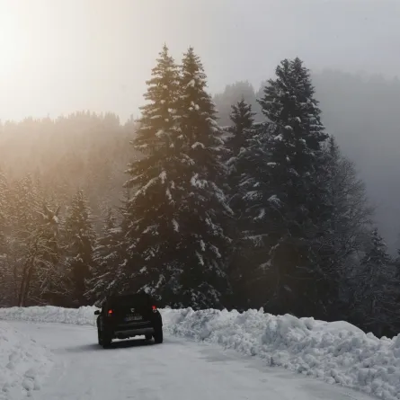 تفسير حلم الثلج الأبيض