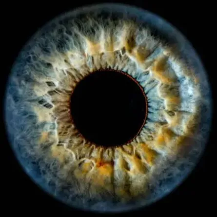 تجربة بصرية غير مألوفة.. اكتشاف لون جديد يثير التساؤلات