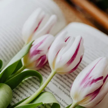 روايات رومانسية