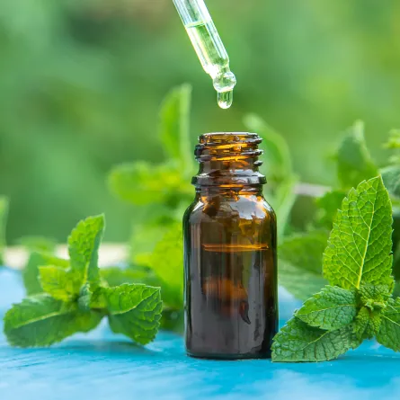 زيت النعناع يكافح الحشرات وبعطر المنزل