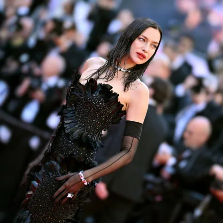 ايرينا شايك Irina Shayk - (مصدر الصورة: Photo by Lionel Hahn/Getty Images)