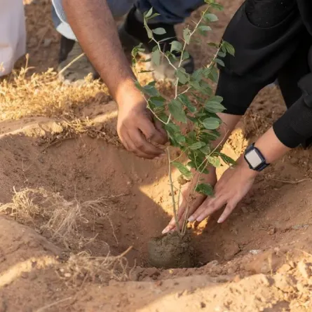 تأتي هذه الجهود في سياق الدور المحوري الذي يقوم به المركز في حماية الغطاء النباتي وتنميته