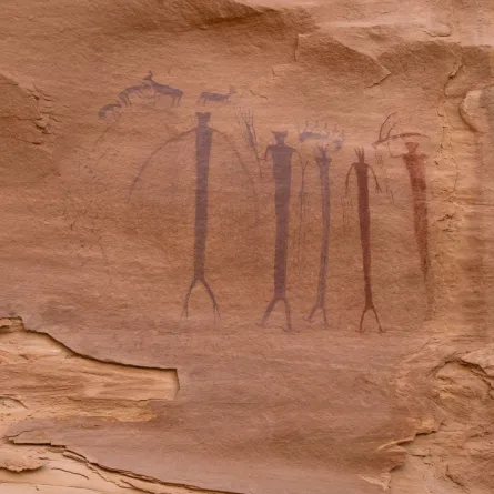 العثور على لوحات صخرية عمرها 2500 عام في الصين