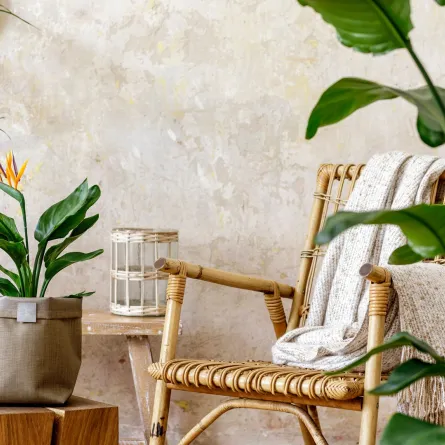 غرفة معيشة تتضمن نباتات كثيرة