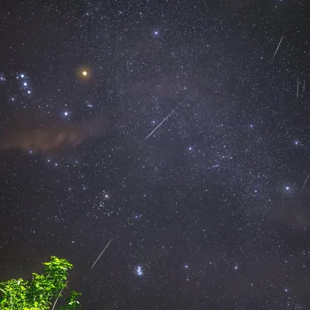 ظواهر فلكية تزين سماء مايو 2025 - الصورة من pexels by arman alcordo