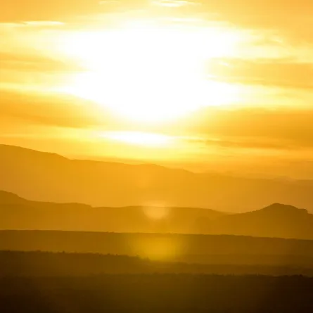  ارتفاع درجات الحرارة خلال الـ5 سنوات المقبلة - الصورة من unsplash by scott goodwill