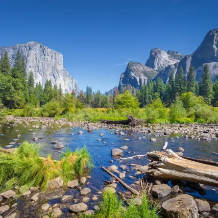 لقطة لمتنزه يوسمايت الوطني في يوم مشمس